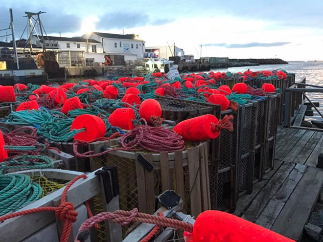 Những bẫy tôm hùm được tập kết ở cầu cảng Glace Bay để chuẩn bị một mùa tôm hùm 