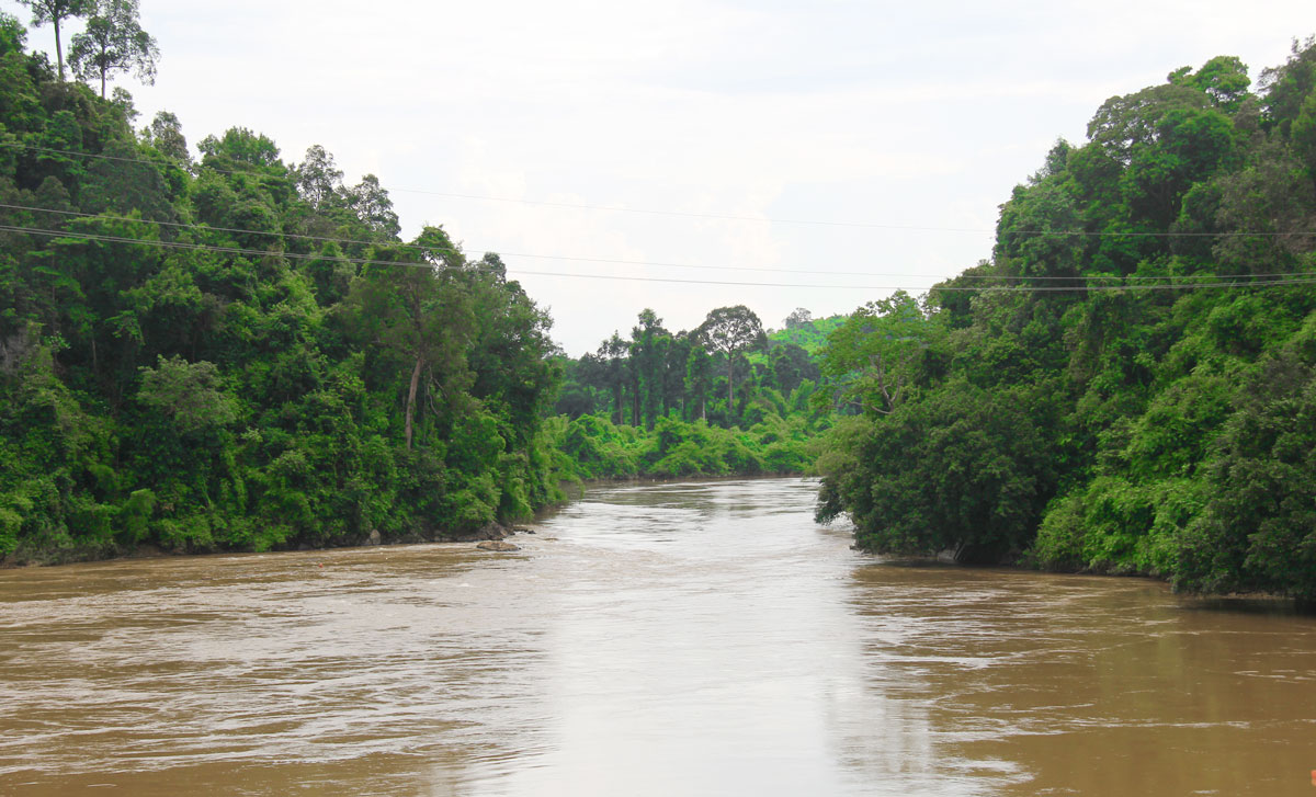 Khu vực sông Mã Đà - Con sông phân chia 2 tỉnh Đồng Nai và Bình Phước