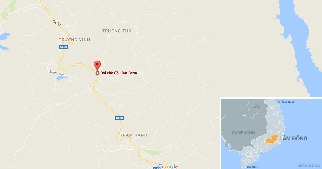 Vị trí đồi chè Cầu Đất hiển thị nằm trên quốc lộ 20, thuộc xã Trường Thọ. Nếu từ trung tâm thành phố Đà Lạt, bạn đi thẳng theo đường Trần Hưng Đạo - Hùng Vương tầm hơn 20 km.